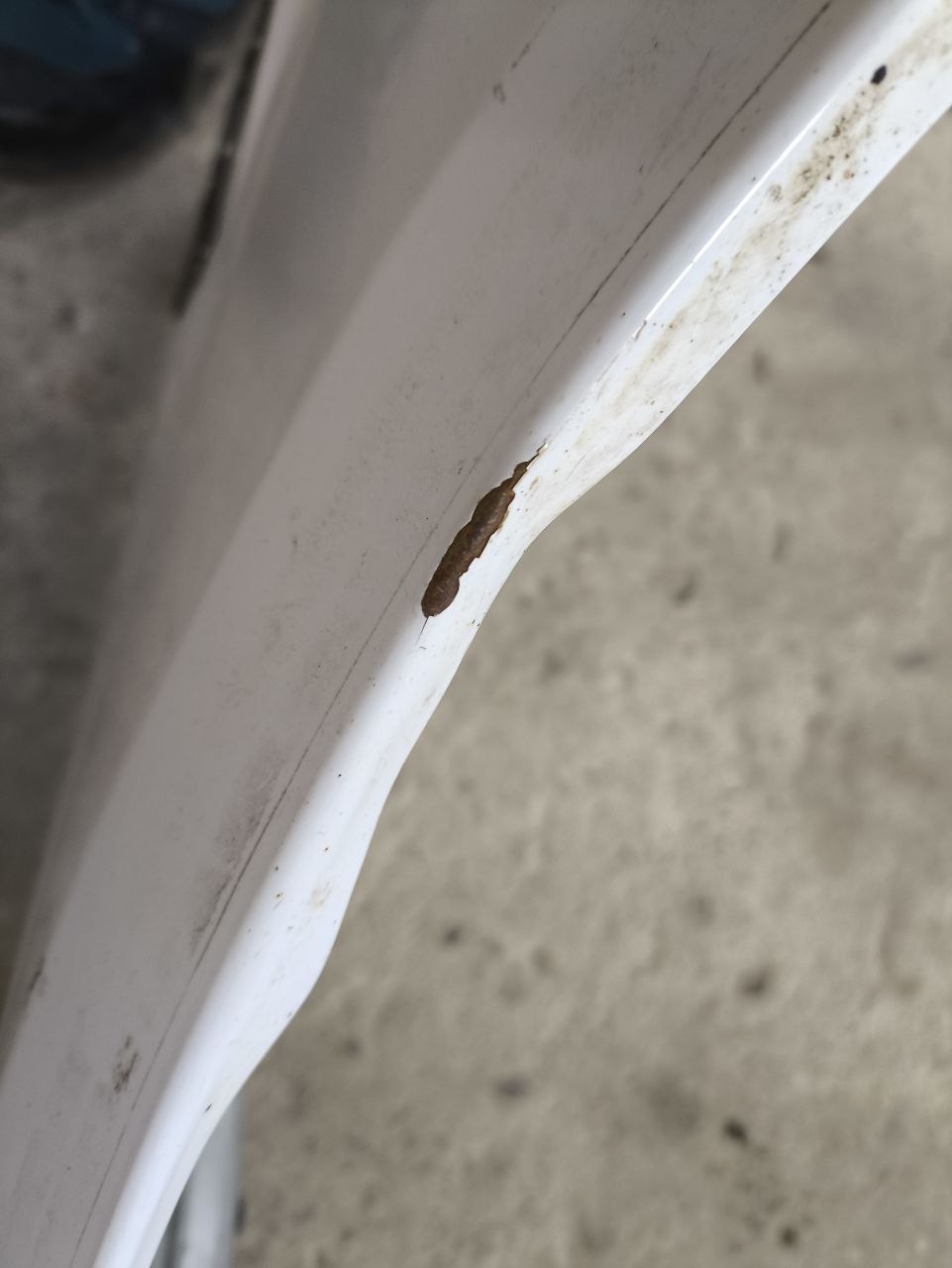 Переднє ліве крило